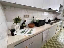 Bukit Timah Plaza / Sherwood Towers (D21), Apartment #523719801